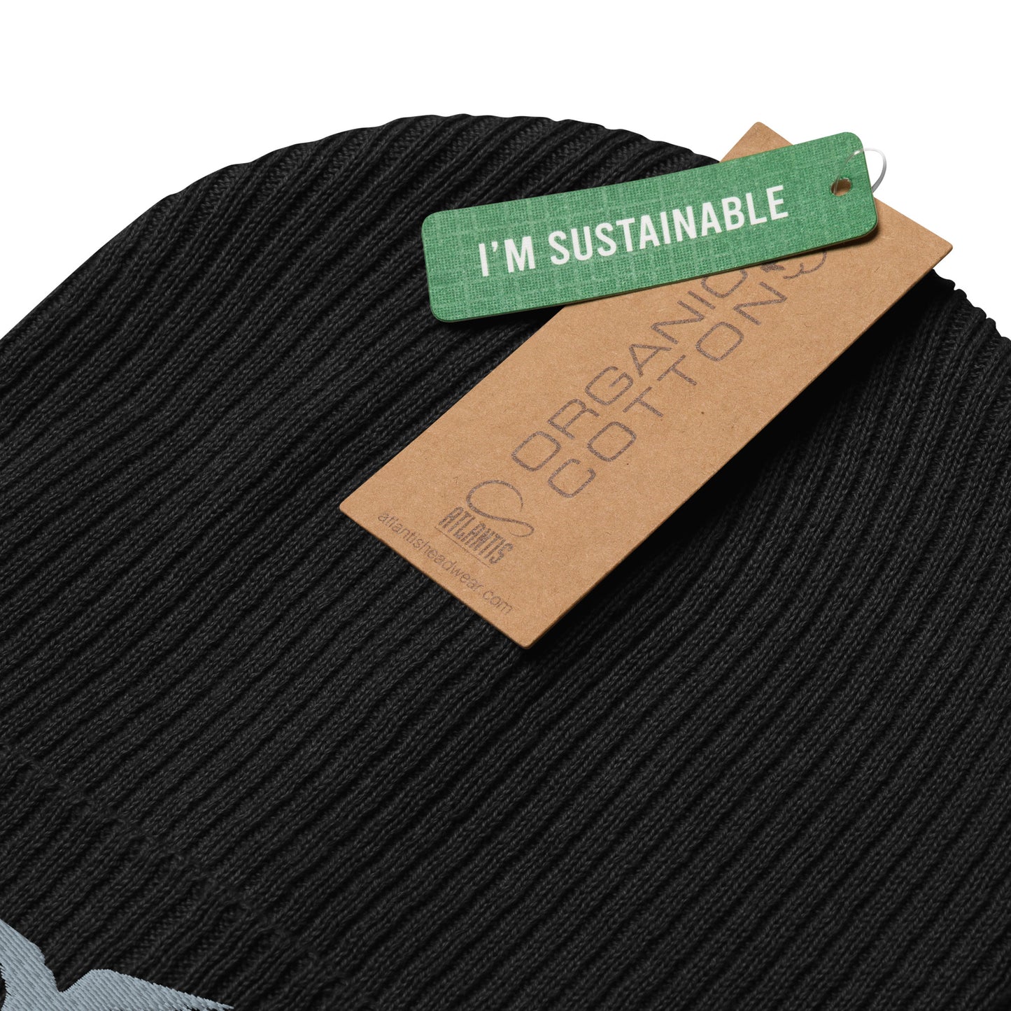 GPW Organic Ribbed Beanie Black